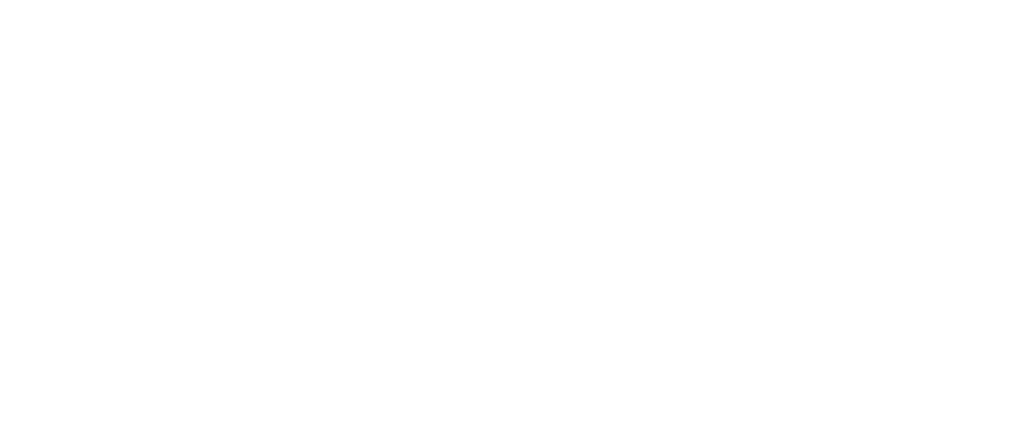 nanobyte